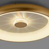 Leuchten-Direkt VERTIGO Lampa Sufitowa LED Złoty, 1-punktowy, Zdalne sterowanie