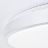 Brilliant Livius Lampa Sufitowa LED Srebrny, 1-punktowy, Zdalne sterowanie