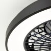 Brilliant Mazzaro wentylator sufitowy LED Czarny, 1-punktowy, Zdalne sterowanie, Zmieniacz kolorów
