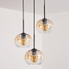 Apedo Lampa Wisząca - Szkło bursztynowy, przezroczysty, 3-punktowe