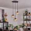 Apedo Lampa Wisząca - Szkło bursztynowy, przezroczysty, 3-punktowe
