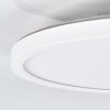 Pawcatuck Oprawa wpuszczana LED Biały, 1-punktowy