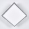 Pawcatuck Oprawa wpuszczana LED Chrom, Biały, 1-punktowy
