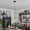 Gastor Lampa Wisząca - Szkło Czarny, 1-punktowy Gastor Lampa Wisząca - Szkło Czarny, 1-punktowy