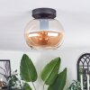 Apedo Lampa Sufitowa - Szkło bursztynowy, 1-punktowy