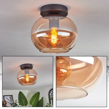 Apedo Lampa Sufitowa - Szkło bursztynowy, 1-punktowy