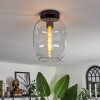 Apedo Lampa Sufitowa - Szkło przezroczysty, 1-punktowy