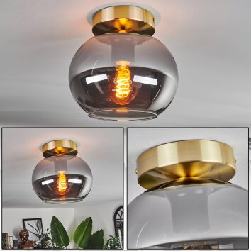 Apedo Lampa Sufitowa - Szkło mosiądz, 1-punktowy
