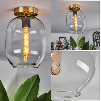 Apedo Lampa Sufitowa - Szkło mosiądz, 1-punktowy