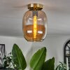Apedo Lampa Sufitowa - Szkło mosiądz, 1-punktowy