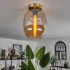 Apedo Lampa Sufitowa - Szkło mosiądz, 1-punktowy