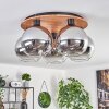 Koyoto Lampa Sufitowa - Szkło kolory naturalne, czarny, 5-punktowe
