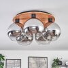 Koyoto Lampa Sufitowa - Szkło kolory naturalne, czarny, 5-punktowe