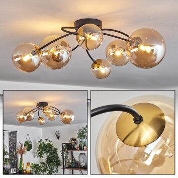 Chehalis Lampa Sufitowa - Szkło Złoty, Czarny, 6-punktowe Chehalis Lampa Sufitowa - Szkło Złoty, Czarny, 6-punktowe