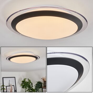 Castasegna Lampa Sufitowa LED Biały, 1-punktowy