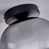 Apedo Lampa Sufitowa - Szkło przezroczysty, przydymiony, 1-punktowy