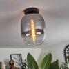 Apedo Lampa Sufitowa - Szkło przezroczysty, przydymiony, 1-punktowy