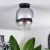Apedo Lampa Sufitowa - Szkło przezroczysty, przydymiony, 1-punktowy
