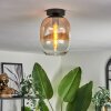 Apedo Lampa Sufitowa - Szkło bursztynowy, przezroczysty, 1-punktowy