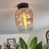 Apedo Lampa Sufitowa - Szkło bursztynowy, przezroczysty, 1-punktowy