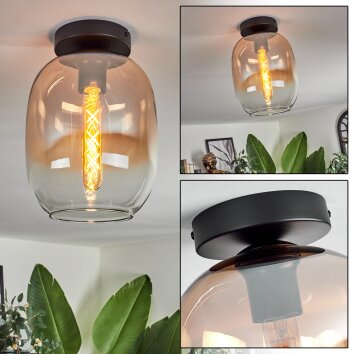 Apedo Lampa Sufitowa - Szkło bursztynowy, przezroczysty, 1-punktowy