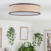 Parbiak Lampa Sufitowa LED Biały, 1-punktowy