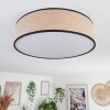 Parbiak Lampa Sufitowa LED Biały, 1-punktowy