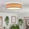 Parbiak Lampa Sufitowa LED Biały, 1-punktowy