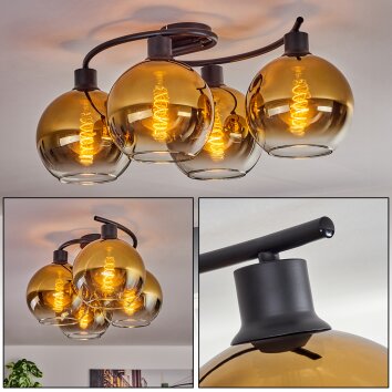 Koyoto Lampa Sufitowa - Szkło Złoty, Przezroczysty, 4-punktowe Koyoto Lampa Sufitowa - Szkło Złoty, Przezroczysty, 4-punktowe