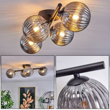 Chehalis Lampa Sufitowa - Szkło przydymiony, 4-punktowe