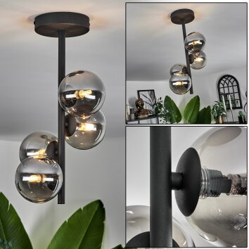 Chehalis Lampa Sufitowa - Szkło przydymiony, 4-punktowe