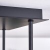 Chehalis Lampa Sufitowa - Szkło złoty, czarny, 5-punktowe