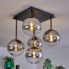 Chehalis Lampa Sufitowa - Szkło złoty, czarny, 5-punktowe
