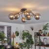 Chehalis Lampa Sufitowa - Szkło złoty, czarny, 6-punktowe
