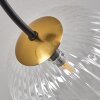 Chehalis Lampa Sufitowa - Szkło Złoty, Czarny, 6-punktowe