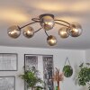 Chehalis Lampa Sufitowa - Szkło Przydymiony, 6-punktowe