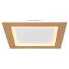 Globo CLAY Lampa Sufitowa LED, 1-punktowy