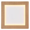 Globo CLAY Lampa Sufitowa LED Wygląd drewna, Biały, 1-punktowy