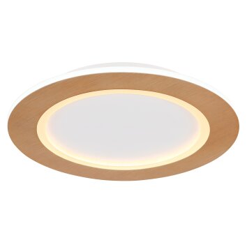 Globo CLAY Lampa Sufitowa LED Wygląd drewna, Biały, 1-punktowy