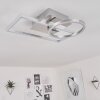 Buren Lampa Sufitowa LED Nikiel matowy, 1-punktowy