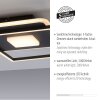 Leuchten-Direkt DOMINO Lampa Sufitowa LED Czarny, 1-punktowy