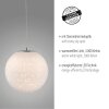 Paul-Neuhaus BOLO Lampa Wisząca LED Srebrny, 1-punktowy