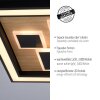 Paul-Neuhaus ELIZA Lampa Sufitowa LED Ecru, Czarny, 1-punktowy