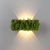 Leuchten-Direkt GREEN CARLO Lampa ścienna LED Srebrny, 6-punktowe
