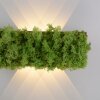 Leuchten-Direkt GREEN CARLO Lampa ścienna LED Srebrny, 6-punktowe