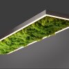 Leuchten-Direkt GREEN KNUT Lampa Sufitowa LED Srebrny, 1-punktowy