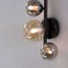 Paul-Neuhaus POPSICLE Lampa ścienna LED Czarny, 3-punktowe