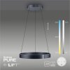 Paul-Neuhaus PURE E-CLIPSE Lampa Wisząca LED Szary, 2-punktowe, Zdalne sterowanie