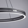 Paul-Neuhaus PURE E-LOOP Lampa Wisząca LED Szary, 2-punktowe, Zdalne sterowanie