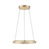 Paul-Neuhaus PURE E-LOOP Lampa Wisząca LED Złoty, 2-punktowe, Zdalne sterowanie